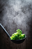 Steaming broccoli florets