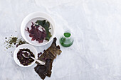 Dulse, Meeressalat, Wakame, Kombu und Spirulina