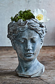 Moss and hellebore in head-shaped planter