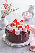 Chocolate cake with marshmallow