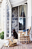 Hunde im Hundekorb auf der Terrasse mit Korbstuhl
