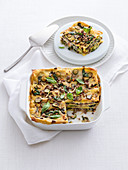 Lasagne mit Lammragout und Zucchini