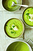 Courgette and mint soup