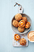 Chorizo scotch quail's eggs