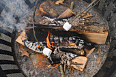 Feuerstelle mit gegrillten Marshmallows auf Holzstöcken
