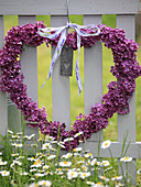 Heart of lilac blossoms hung on the fence for Mother's Day