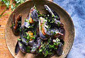 Mussels in white wine sauce prepare