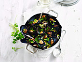 Steamed beer and thyme mussels