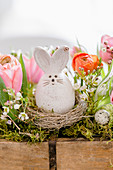 Easter bunny in next in trough of spring flowers