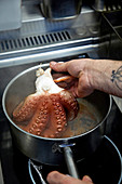 Oktopus kochen