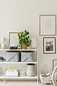 Shelves with storage boxes and houseplant against pale wall