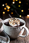 White cup with tasty hot chocolate drink garnished with roasted marshmallow