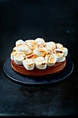 Chocolate and toasted marshmallow cheesecake