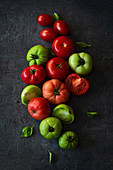 Rote und grüne Tomaten mit Basilikumblättchen auf dunklem Betonuntergrund