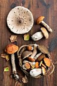 Freshly collected porcini mushrooms in a wicker basket and on a wooden background
