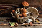 Still life with fresh boletus mushrooms in front of a wooden background