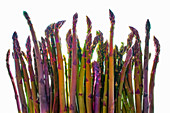 Various asparagus spears against a white background