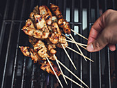 Sate skewers on a grill rack