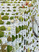 Detail of terraced roof garden