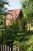 View of the blooming garden with an a-frame cottage