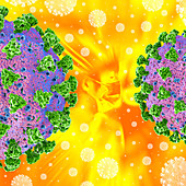 Covid-19 coronavirus particles, composite image