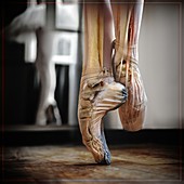 Ballet dancer's foot, illustration