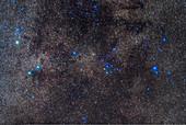 Coathanger Cluster in Cygnus