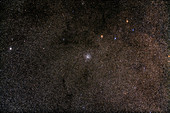 Wild Duck Star Cluster