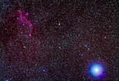 Seagull Nebula and Sirius