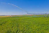 Center pivot Irrigation