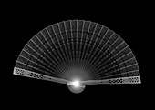 Sandalwood fan, X-ray