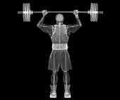 Weightlifter bodybuilder skeleton, X-ray