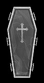 Euro coin coffin, X-ray
