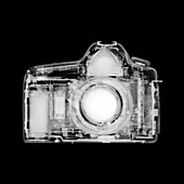 Digital SLR camera, X-ray