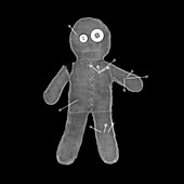 Voodoo doll, X-ray