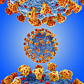 Covid-19 coronavirus particles, illustration