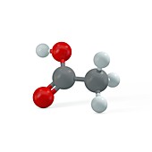 Ethanoic acid molecule, illustration