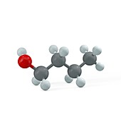 Butanol molecule, illustration