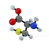 Cysteine molecule, illustration