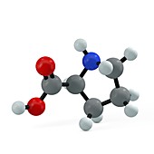 Proline molecule, illustration