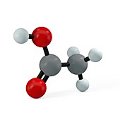Acetic acid molecule, illustration