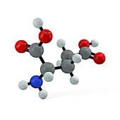 Glutamic acid molecule, illustration