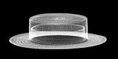 Straw boater hat, X-ray