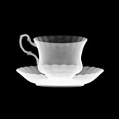 Teacup, X-ray