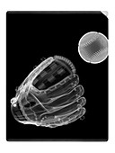 Baseball and glove, X-ray