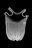 Bottle top bag, X-ray