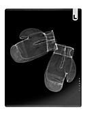 Boxing gloves, X-ray