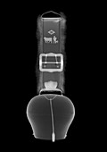 Cowbell, X-ray