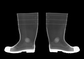 Wellington boots, X-ray
