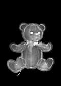 Plush toy teddy bear, X-ray
